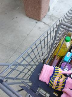Shopping Bargains For Thanksgiving
